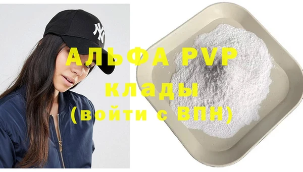 спиды Надым