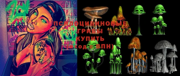 спиды Надым