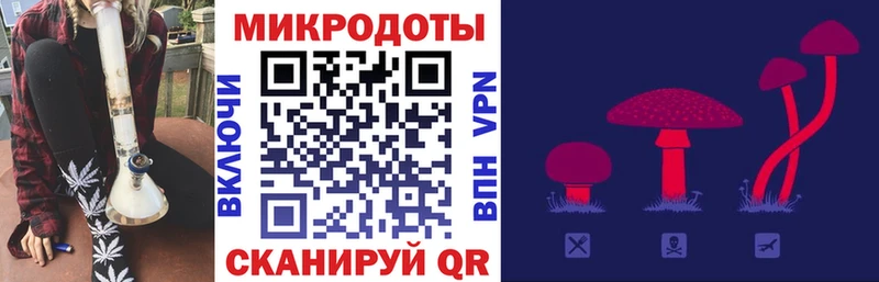 Купить закладки  Красный Кут  Галлюциногенные грибы Cubensis 